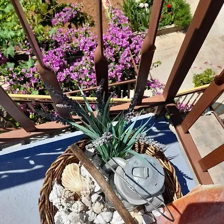Apartman Ruza Kaprije