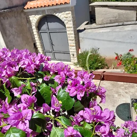 Apartman Ruza Apartment *